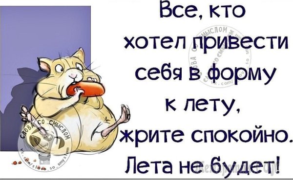 Смешные фразы про Холодное лето
