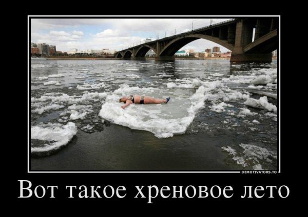 Холодное лето картинки