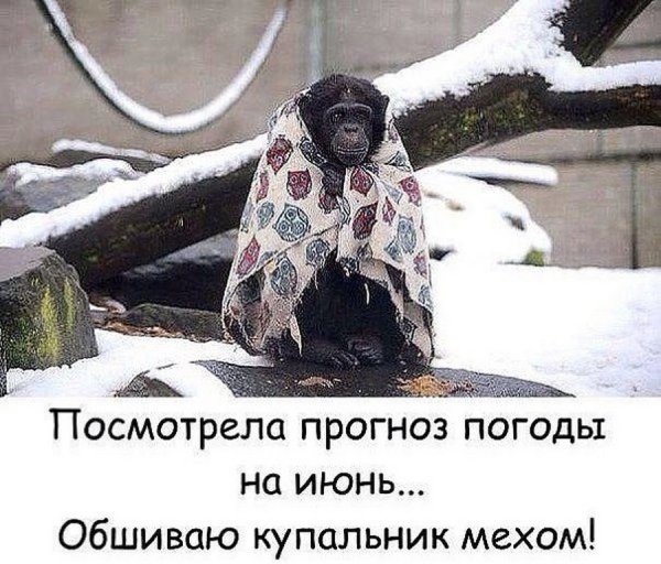 Приколы про Холодное лето