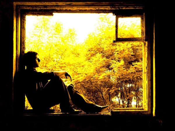 Дождливое утро девушка у окна