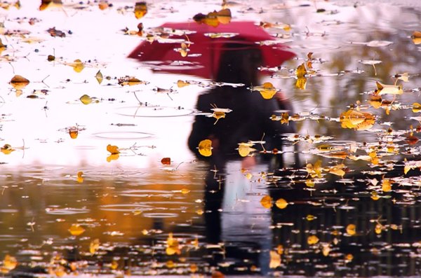 Не верь не бойся не проси