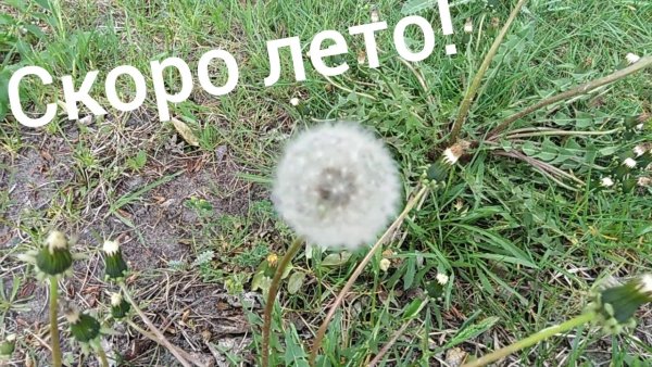 Держитесь скоро лето