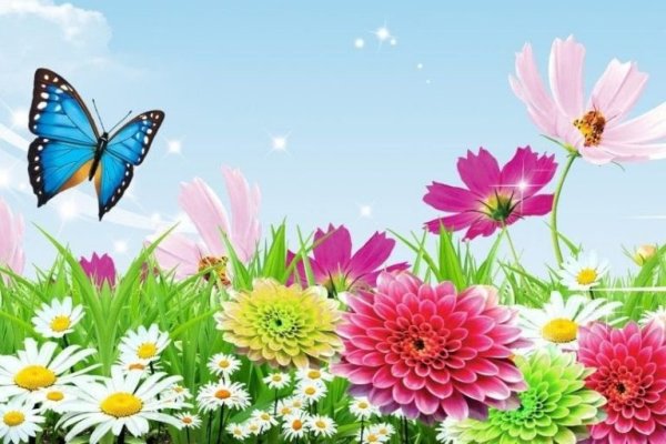 Фон одуванчики