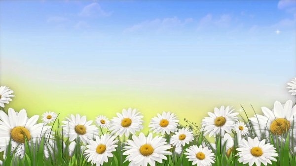 Поляна с цветами и бабочками