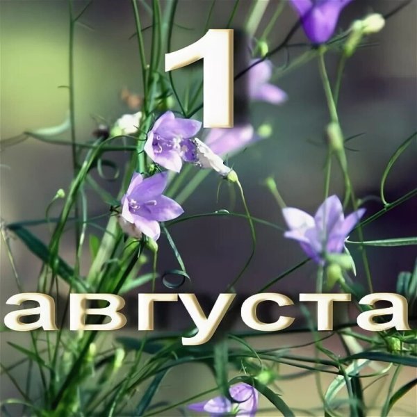 Июль надпись