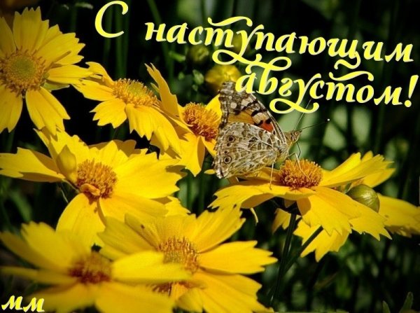 Завтра уже июль