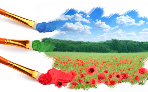 Кисти и краски