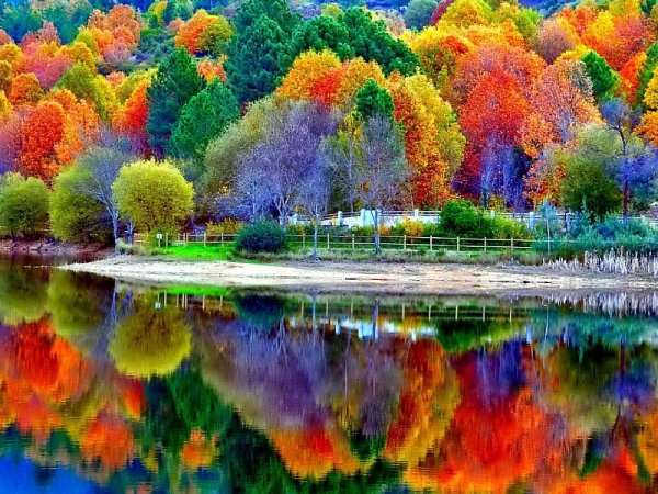 Яркие краски лета