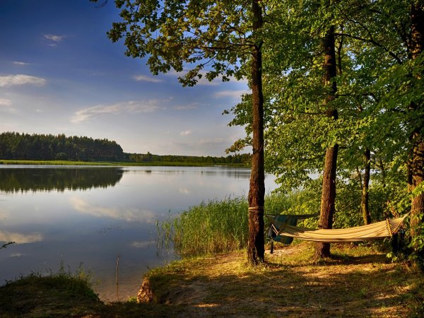 Природа лес река