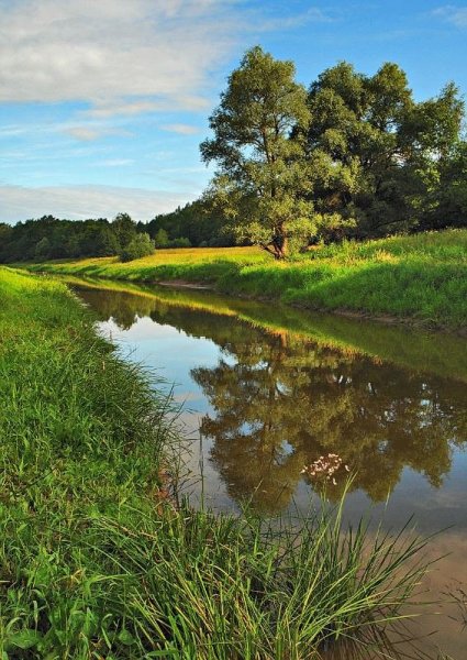 Летом на речке