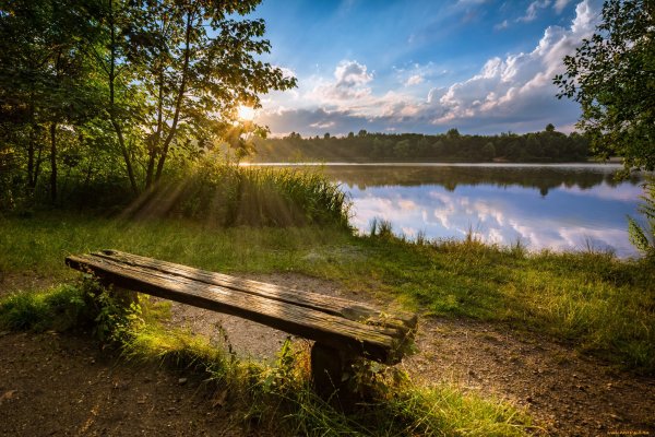 Вид на реку с берега