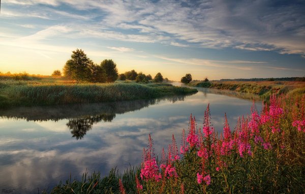 Берег реки Россия