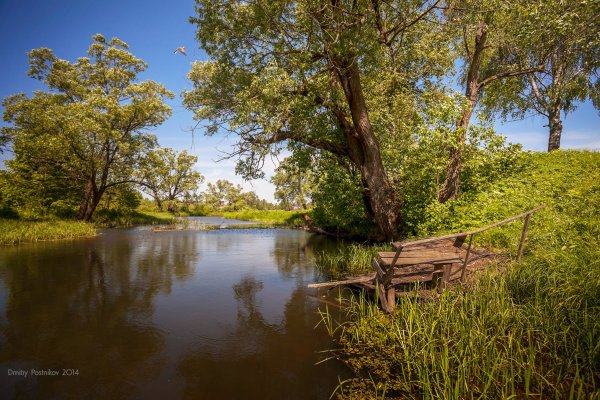 Пейзаж лес река берег