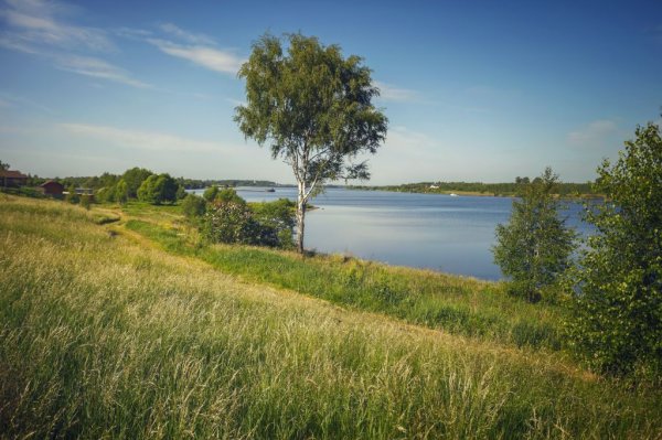 Весна лес река