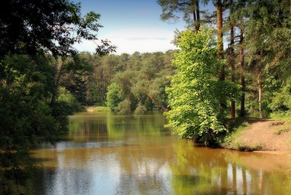 Река Дубна Талдомский район
