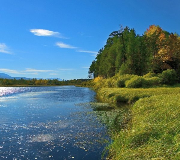 Берег озера