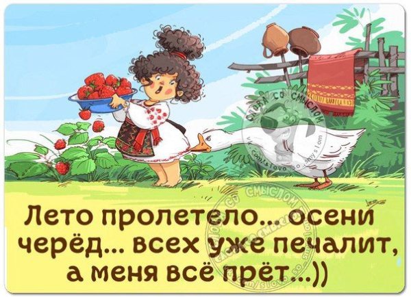Демотиваторы про лето прикольные