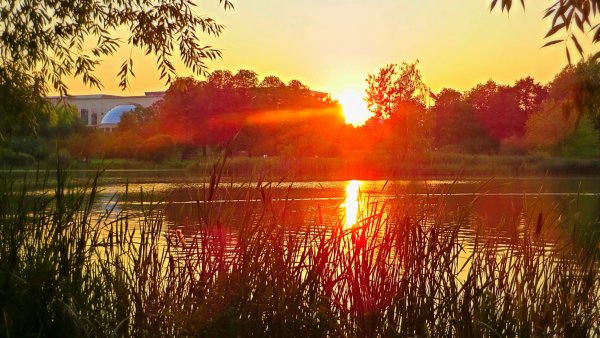 Красивые пейзажи уходящего лета