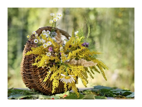 Уходящее лето