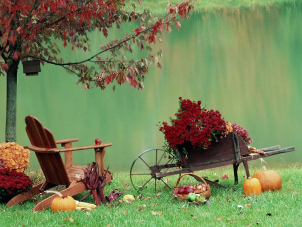 Осень прощается с летом