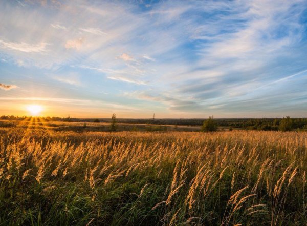 Последний день лета природа