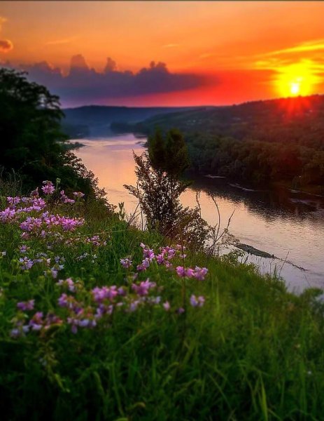 Тихий вечер