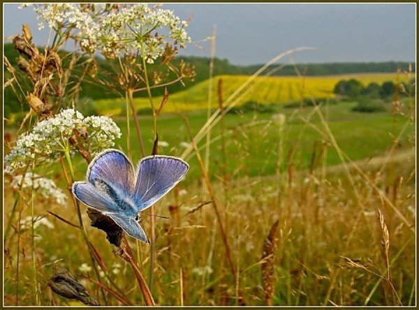 Прощание с летом