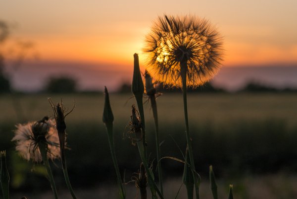Красивые картинки уходящего лета