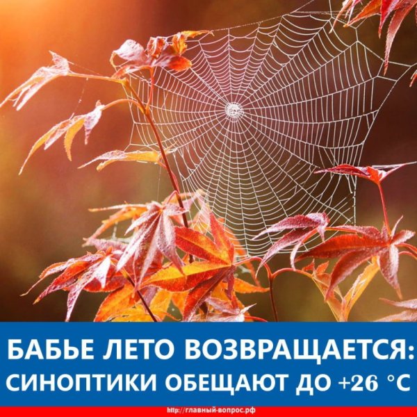 Ждем бабье лето