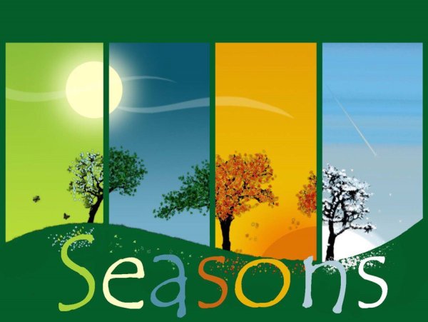 Seasons для детей