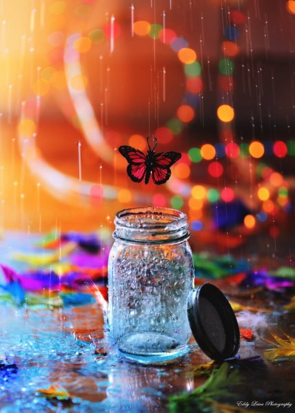 Бабочки вылетают из банки