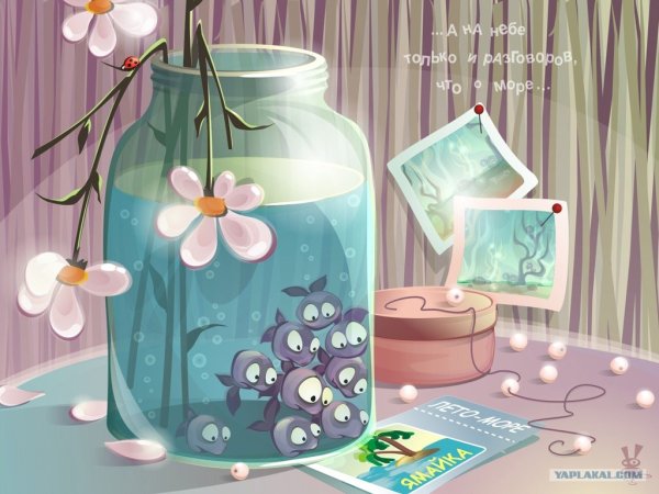 Лето в банке