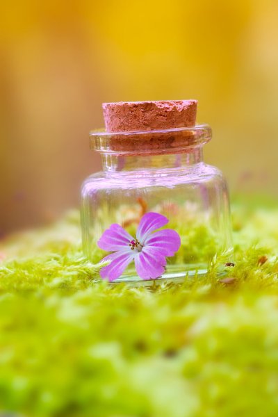 Баночка с цветами