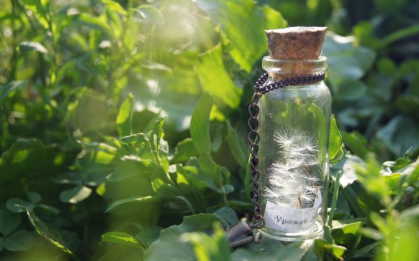 Красивые баночки