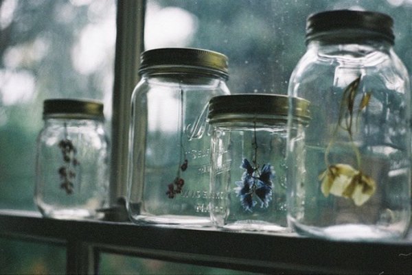 Букет полевых цветов