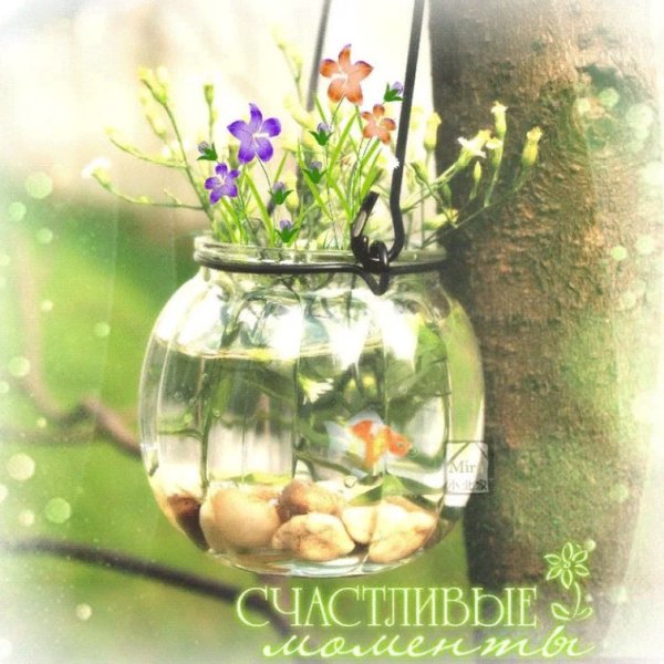 Яркие воспоминания о лете