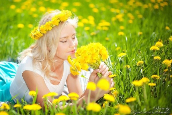 Фотосет с одуванчиками