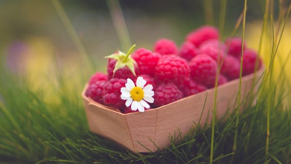 Цветы и ягоды