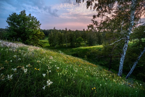Лесные Поляны России
