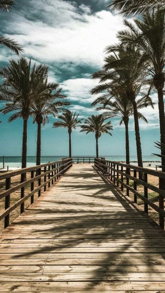 Малина и ромашки