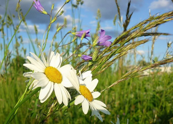 Россия короткие лето