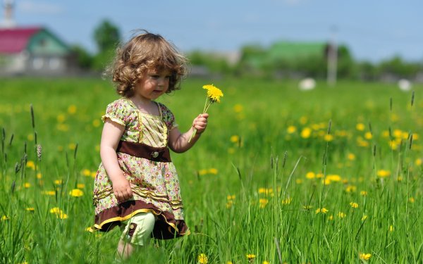 Дети на лугу