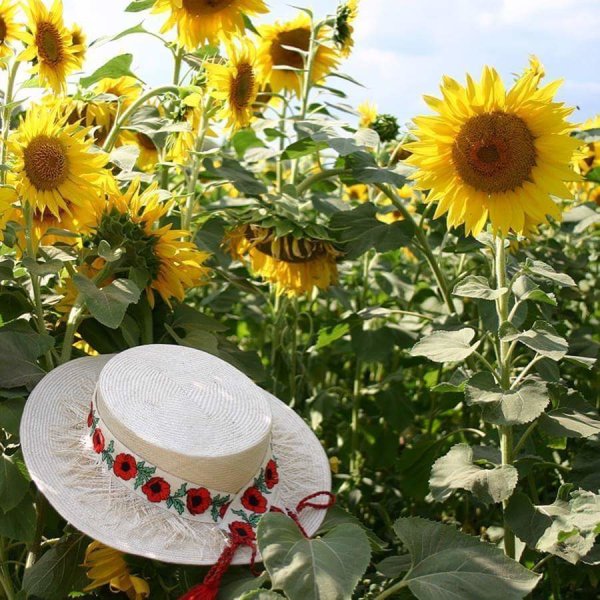 Лето еще продолжается