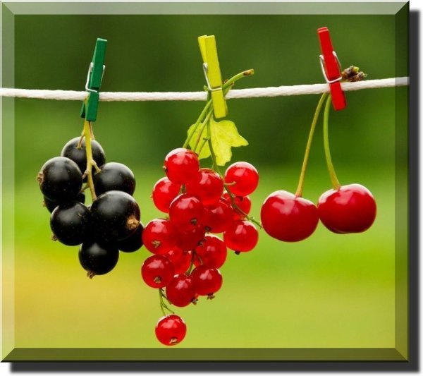 Удачного лета