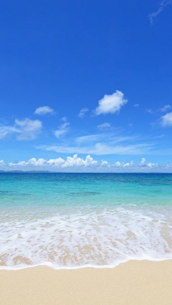 Летняя тема