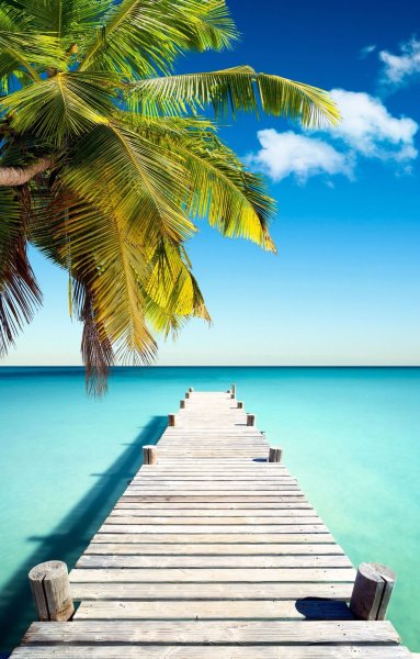 Красивые летние картинки