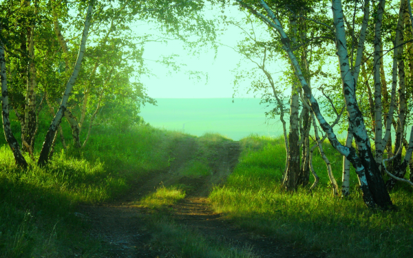 Пейзаж лето