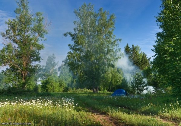 Дубрава опушка Башкирия