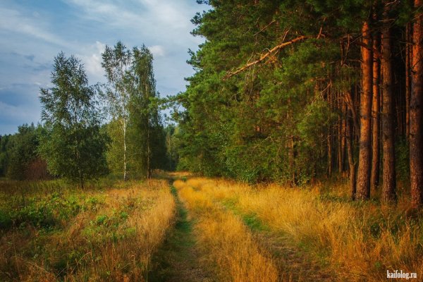 Природа деревня речка Березки