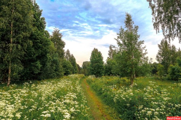 Пейзаж Лесная Поляна